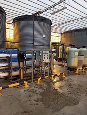 Изнаночное изображение