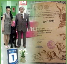 Изнаночное изображение