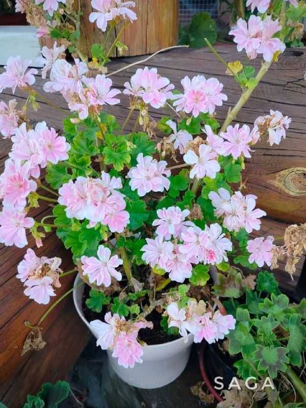 Изображение поста 1