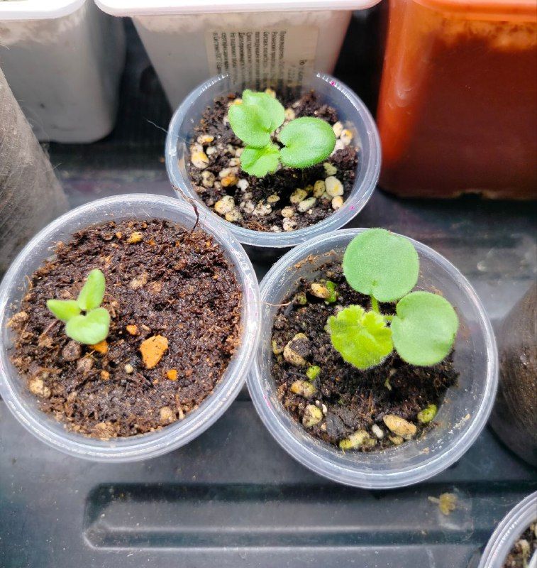 Изображение поста 1