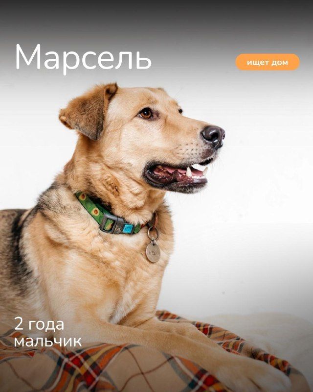 Изображение поста 1