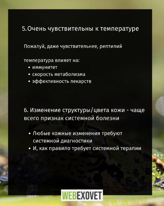 Изображение поста 4