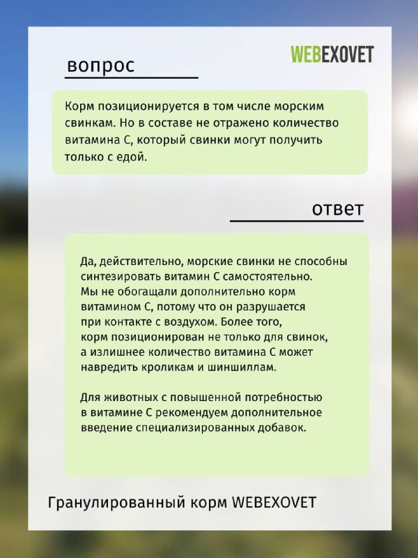 Изображение поста 2