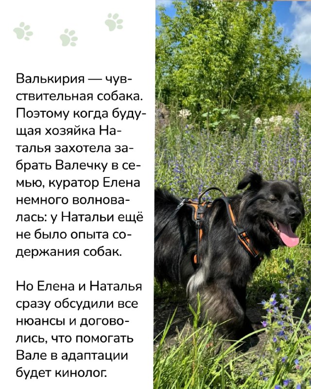 Изображение поста 2