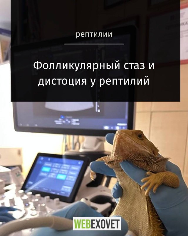 Изображение поста 1