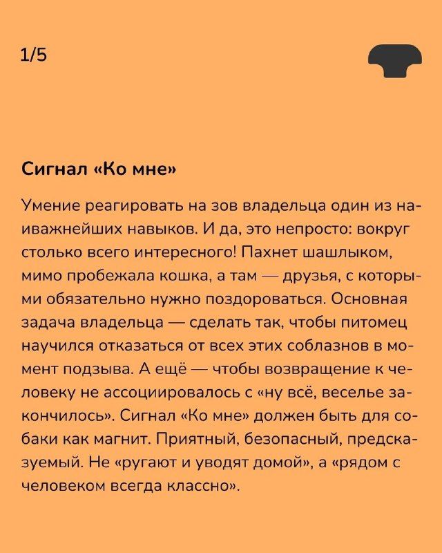 Изображение поста 2