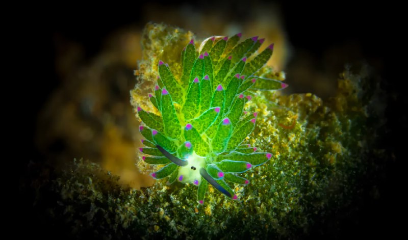 Изображение поста 3