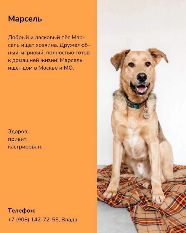 Изображение поста 2