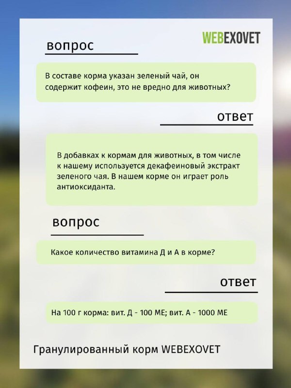 Изображение поста 4