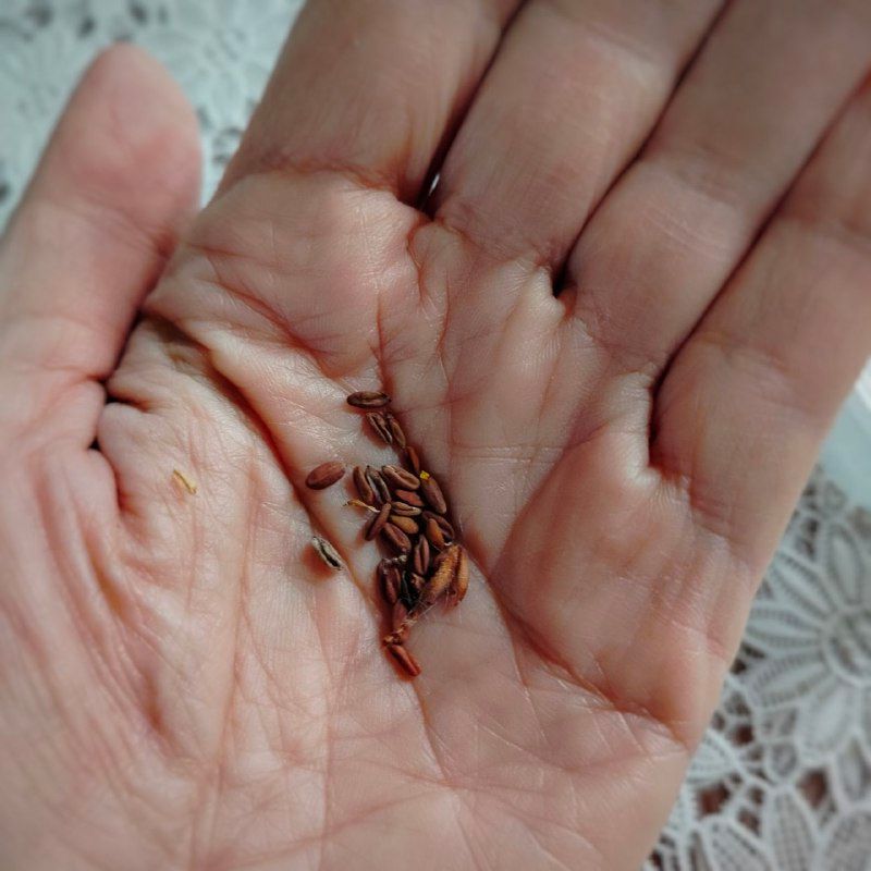 Изображение поста 2