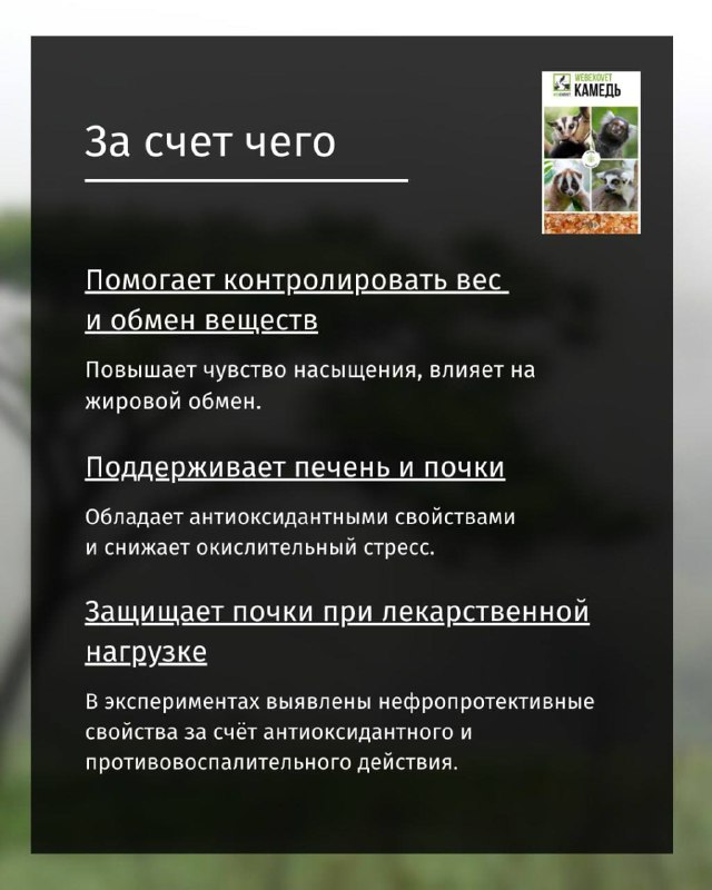 Изображение поста 4
