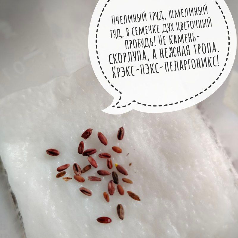 Изображение поста 1