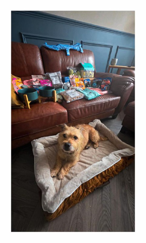 Изображение поста 2