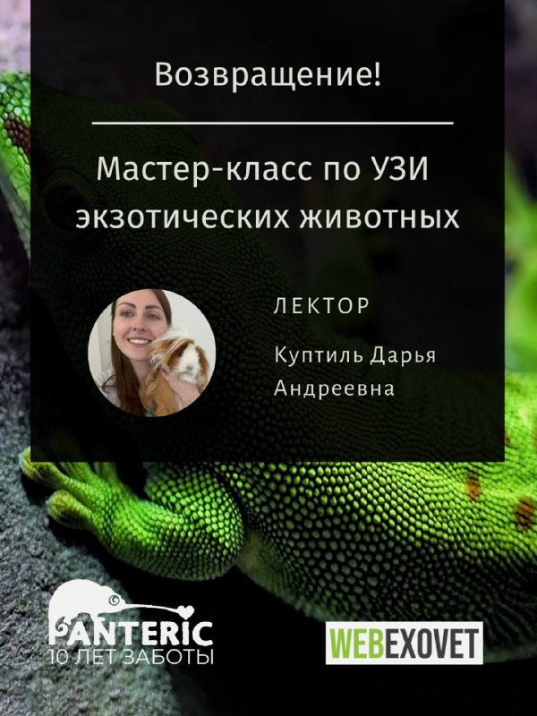 Изображение поста 1