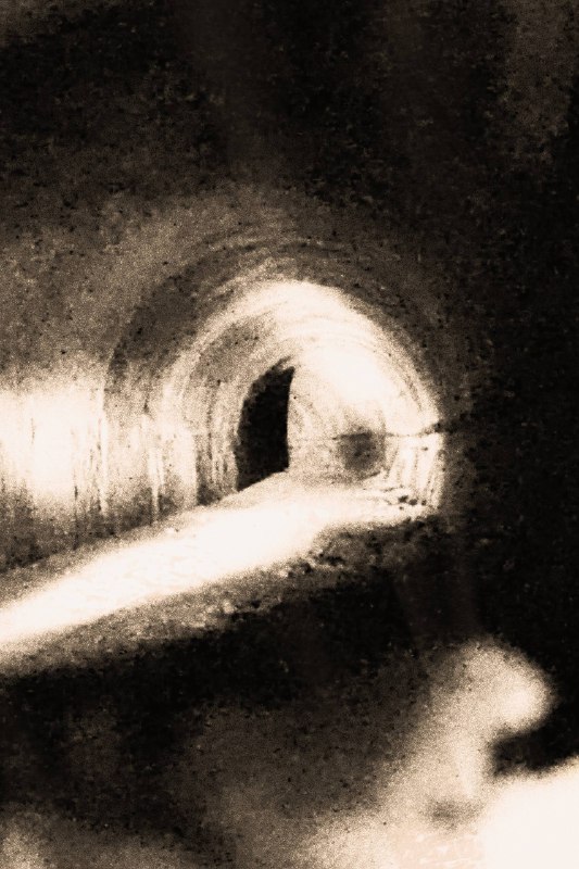 Изображение поста 4