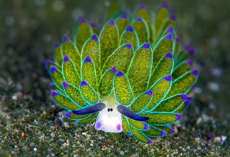 Изображение поста 2