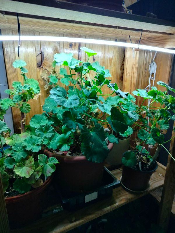 Изображение поста 2