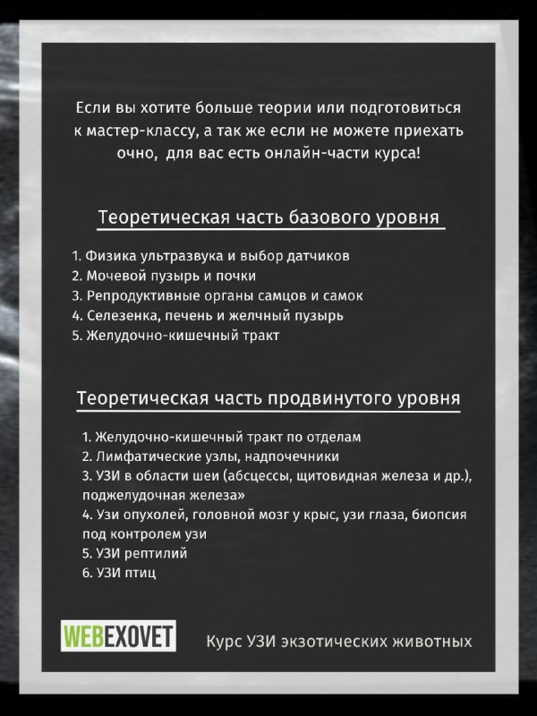Изображение поста 4