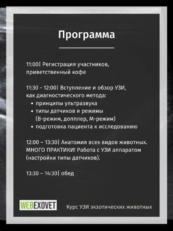 Изображение поста 2