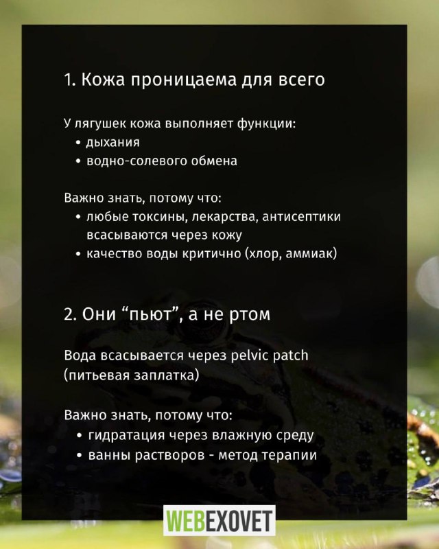 Изображение поста 2