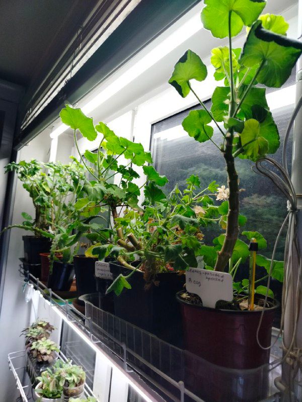 Изображение поста 3