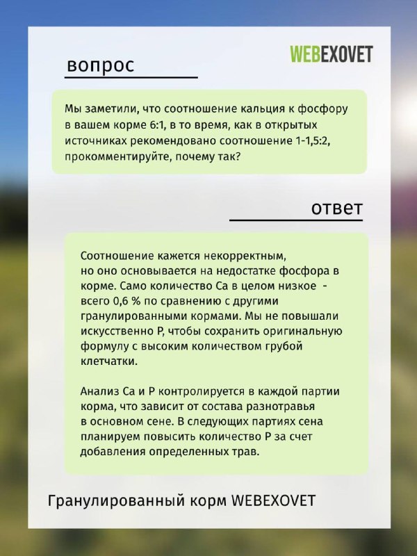Изображение поста 3