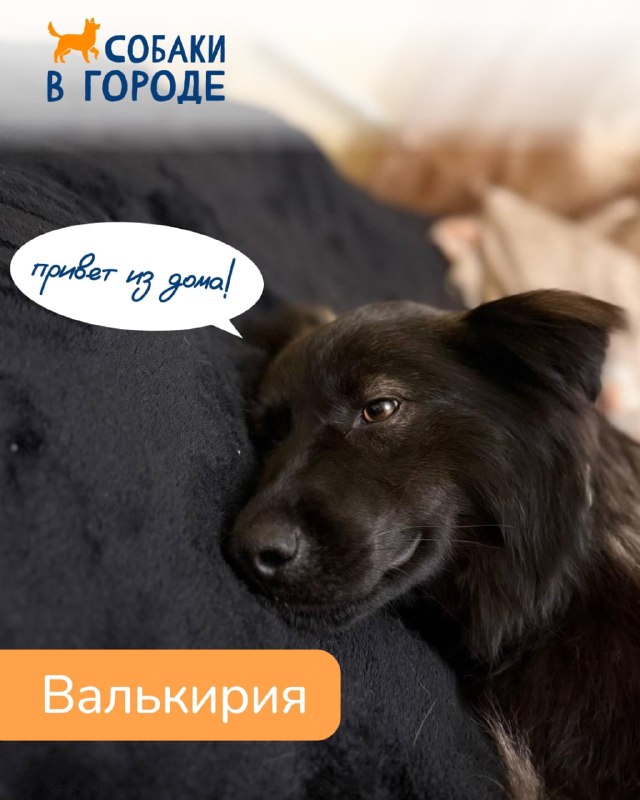 Изображение поста 1