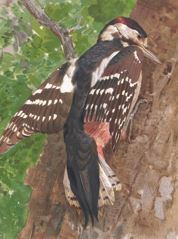 Изображение поста 1