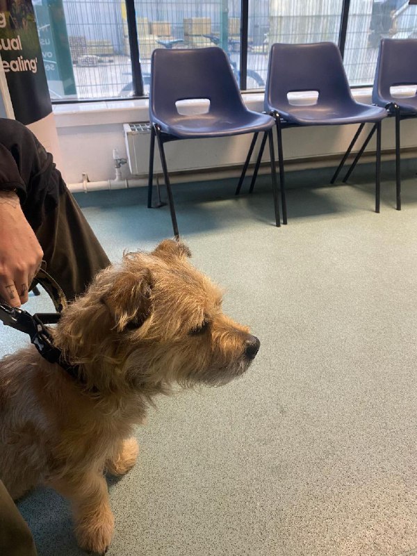 Изображение поста 4