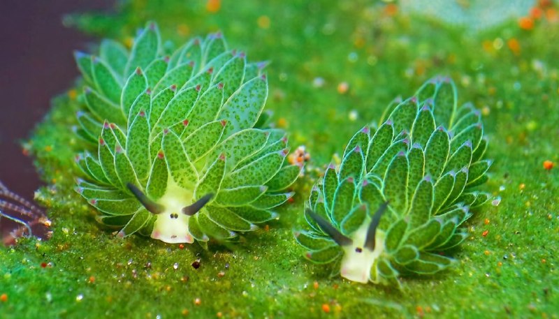 Изображение поста 1