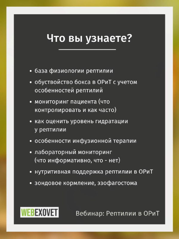 Изображение поста 2