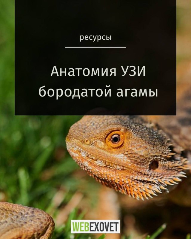 Изображение поста 1