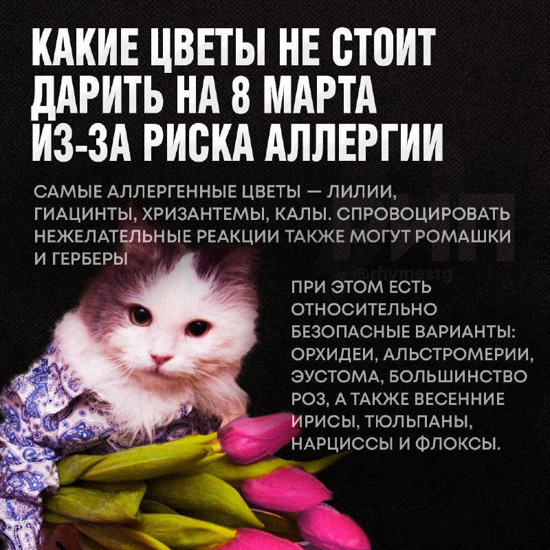 Изображение поста 4