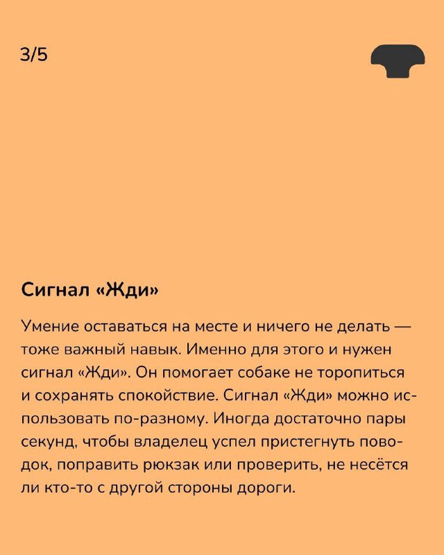 Изображение поста 4