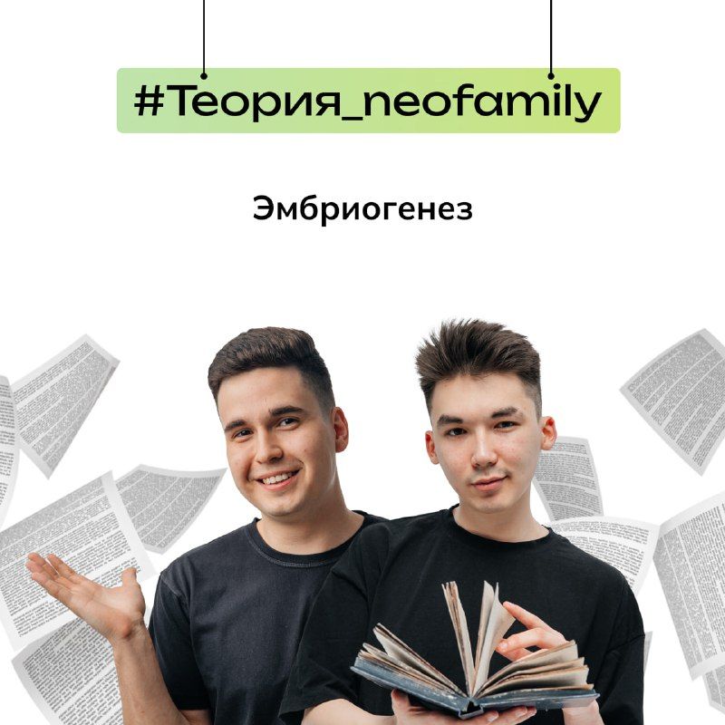 Изображение поста 1