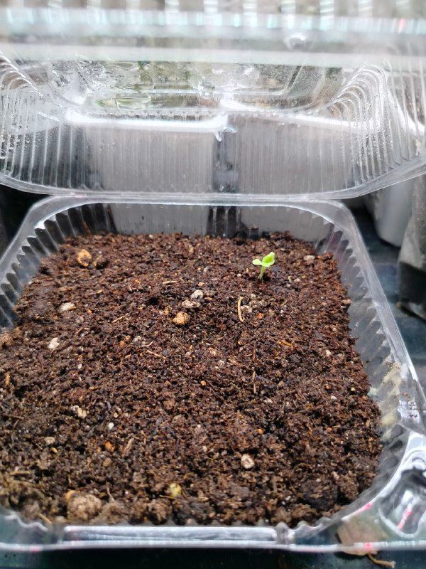 Изображение поста 3