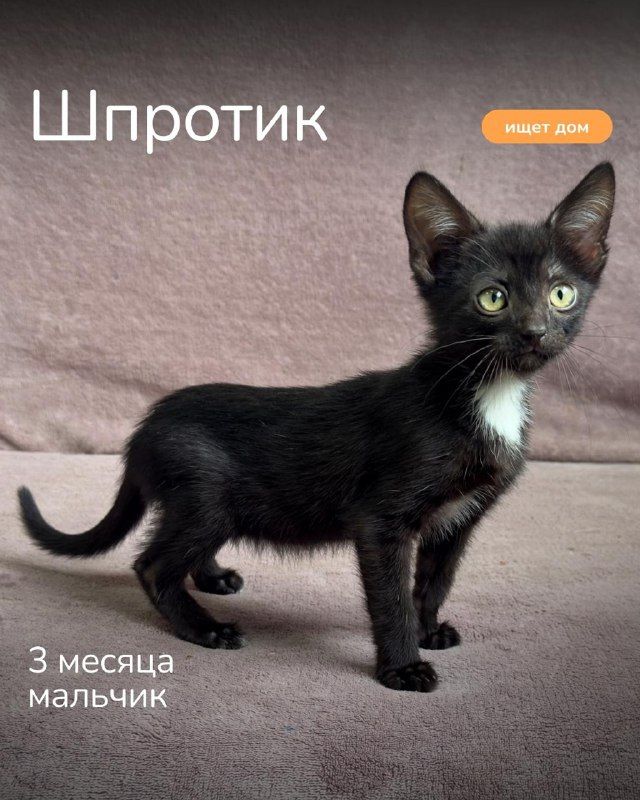 Изображение поста 3