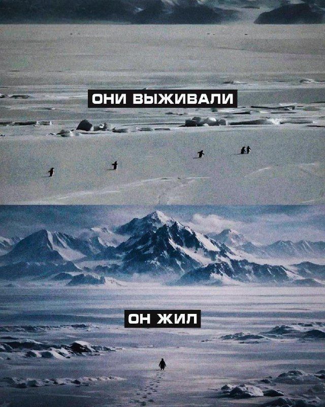 Изображение поста 2