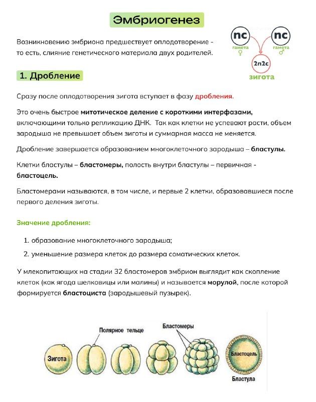 Изображение поста 2