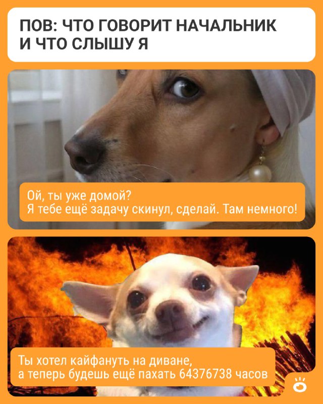 Изображение поста 4