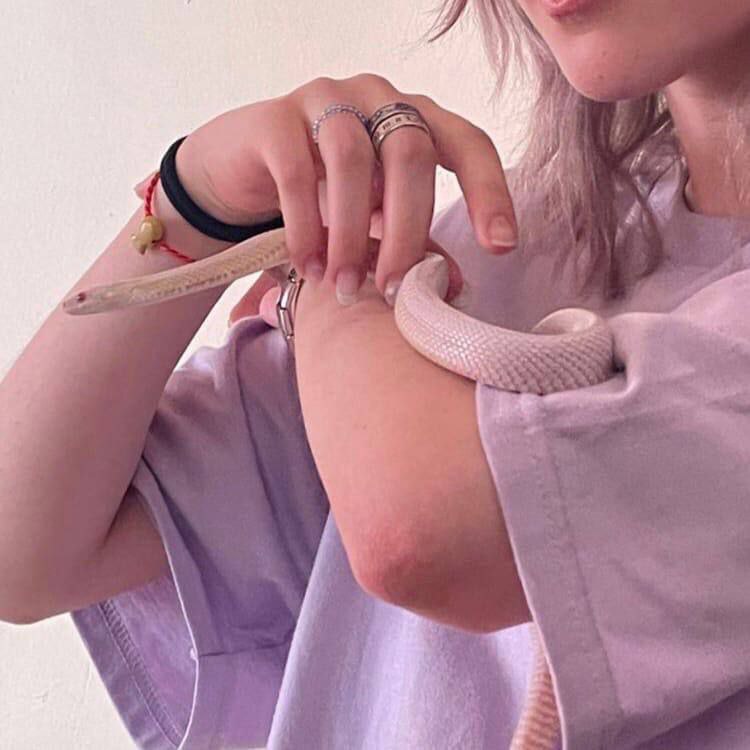 Изображение поста 2