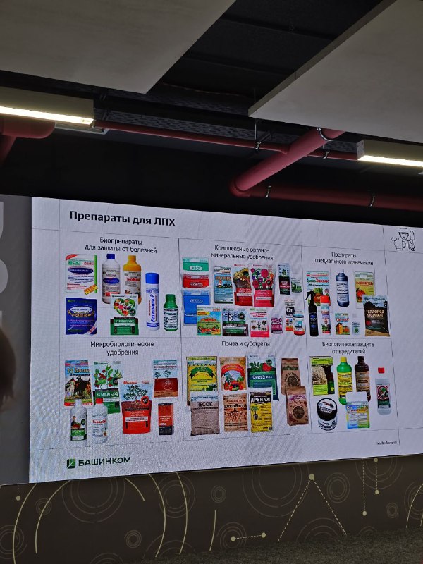 Изображение поста 2