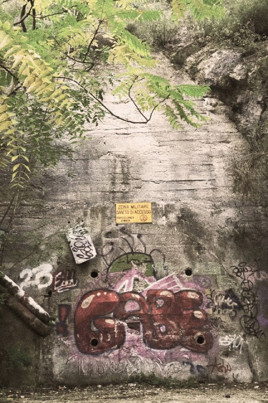 Изображение поста 3