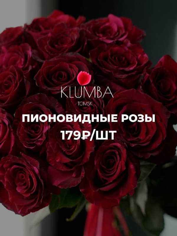 Изображение поста 1