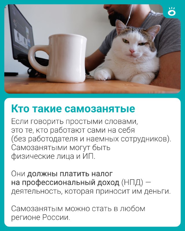 Изображение поста 2