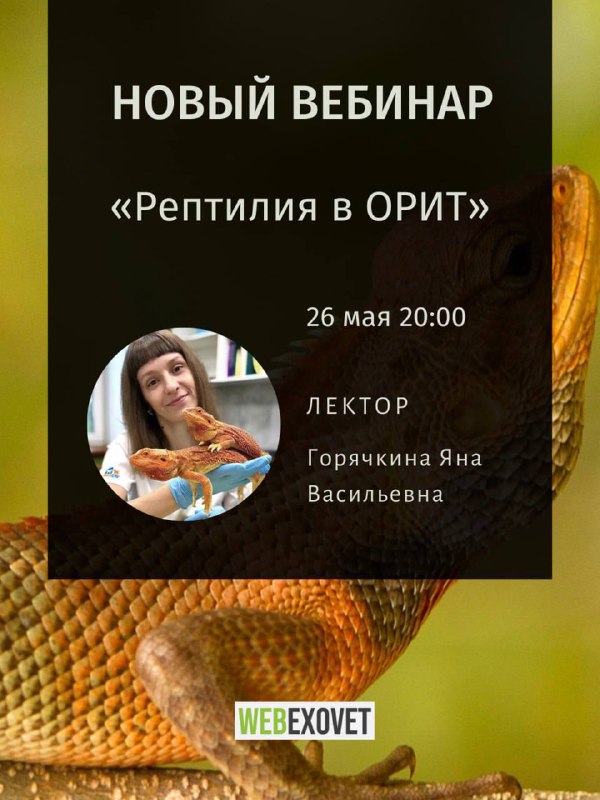 Изображение поста 1