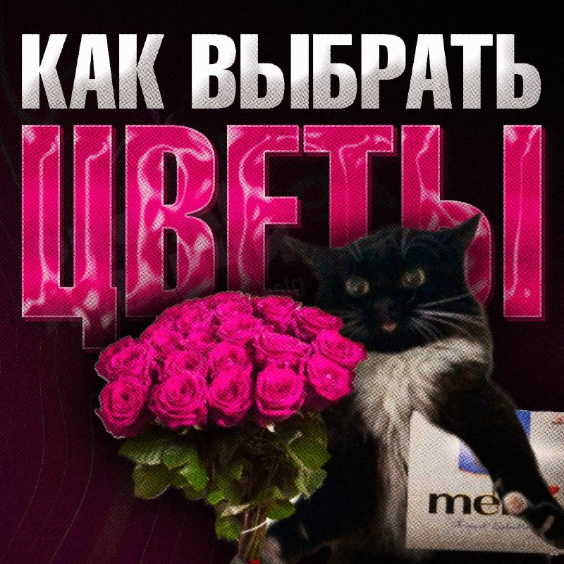 Изображение поста 1