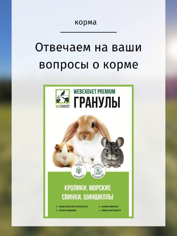 Изображение поста 1