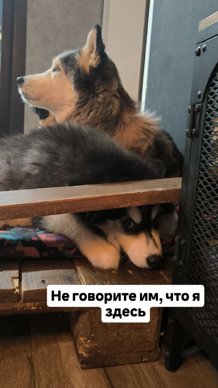 Изображение поста 2
