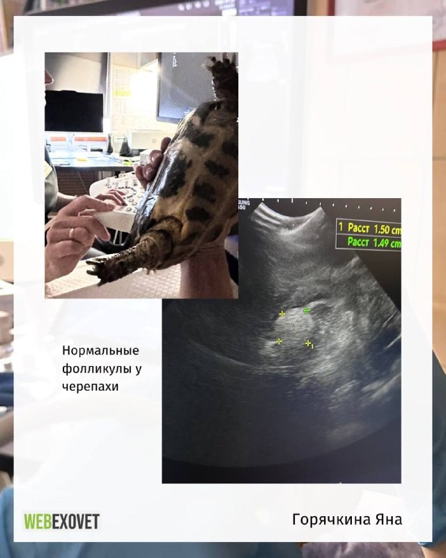 Изображение поста 4